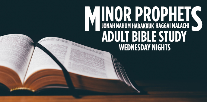 Minor Prophets — Haggai
