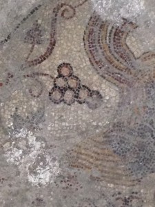 grape mosaic dated to 326 in the  Church of the Nativity
